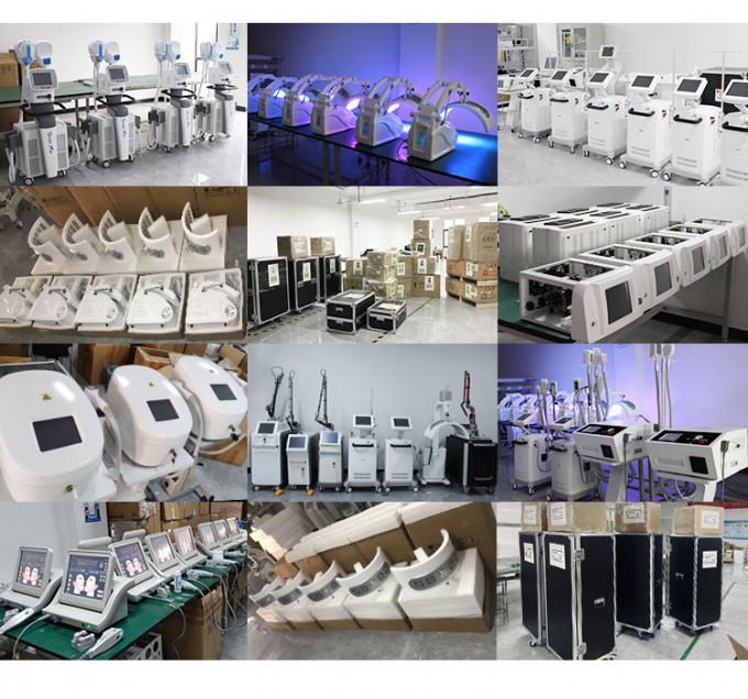 machine de refroidissement de peau faciale de la machine -20c Cryotherapy Zimmer de 800w Cryotherapy 14