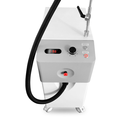 machine de refroidissement de peau faciale de la machine -20c Cryotherapy Zimmer de 800w Cryotherapy