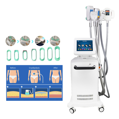 Sculpture de refroidissement Cryolipolysis amincissant la machine pour la grosse réduction