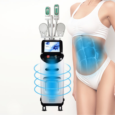 Corps amincissant technologie de refroidissement de Cryolipolysis de machine la grosse amincissant la machine