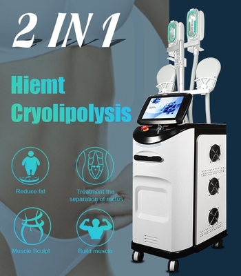 Corps de SME Cryolipolysis sculptant la machine 2 dans 1 pour le gros contournement de corps de retrait