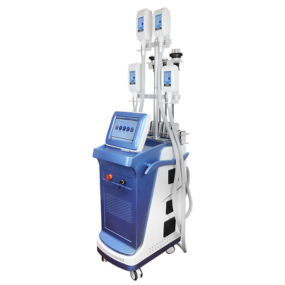 Cryolipolyse Fat Freeze Slimming Machine 360 Body Sculpté Équipement de perte de poids pour une utilisation en salon