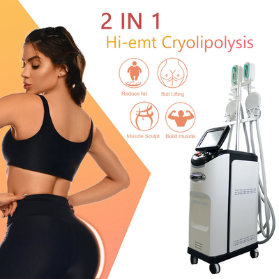 Cryolipolyse EMS Machine 360 ​​Cryo Fat Freezing Cellulite Removal