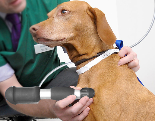 Vétérinaire chiropratique et animal ESWT machine masseuse à ondes acoustiques