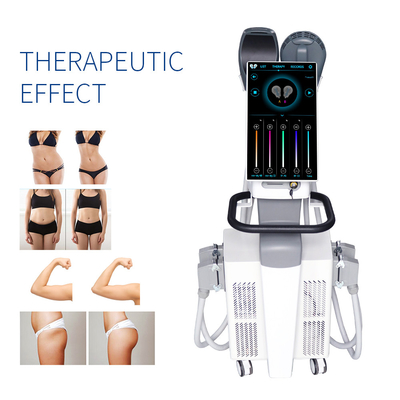 Ems Emslim Machine 4/5 Poignées Emslim Neo RF Muscle sculpting Machine de combustion des graisses