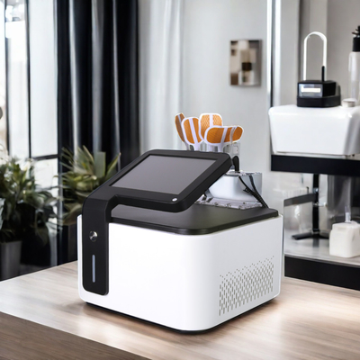 Non invasif PE FACE Augmentation du collagène du visage EMS RF Machine pour le lifting du visage Resserrement de la peau Élimination des rides