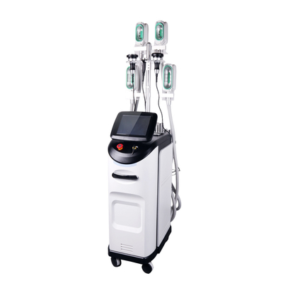 Appareil de perte de poids par cryolipolyse, congélation des graisses, portable, sous vide, pour le salon à domicile