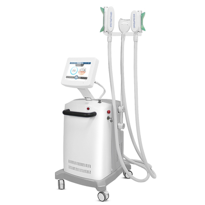corps Cryolipolysis de visage de 2000W 100kpa amincissant la machine