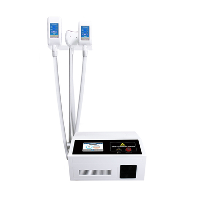Machine portative de Cryolipolysis de cellulites acoustiques de corps