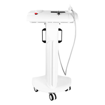 Machine à micro-aiguille RF pour réduire la cellulite et éliminer la pigmentation