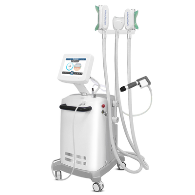 CE 6 barres Cryolipolysis amincissant la machine pour le corps