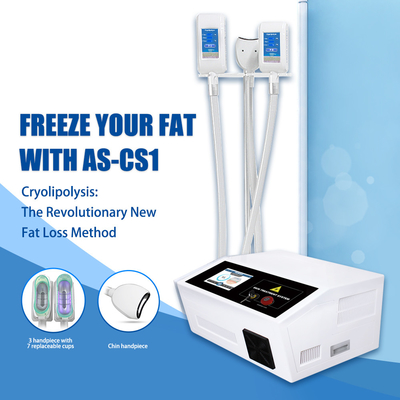 Congélateur de Cryo de machine portative de Cryolipolysis Lipo gros pour double Chin Fat Removal