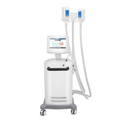 Réduction Cryolipolysis de cellulites amincissant la machine avec du CE