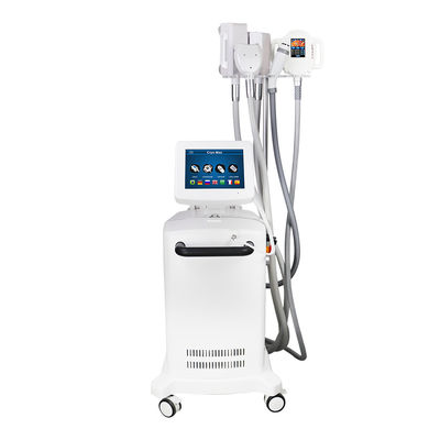Dispositif de congélation des graisses par cryolipolyse à fréquence RF 5 MHz non chirurgicale pour une réduction efficace des graisses