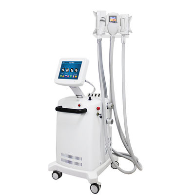 La machine de cryolipolyse pour le corps 4 en 1, la machine de cryolipolyse pour le gel des graisses