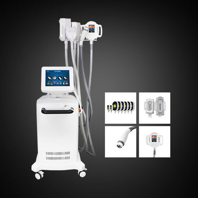 5 poignées Cryolipolysis amincissant machine de réduction de ventre de machine la grosse