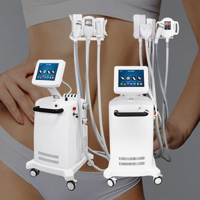 Grosse machine de fonte de Cryolipolysis 360 degrés
