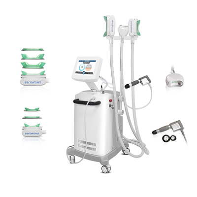 3 Handpiece cryogénique Cryolipolysis amincissant la machine avec le système de refroidissement superbe