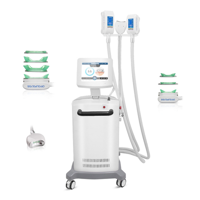 Machine de Cryolipolysis pour gros 360° de congélation grande région de refroidissement direct