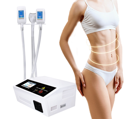Mieux 360 gros Cryolipolisis de congélation amincissant la machine pour le soin personnel de salon