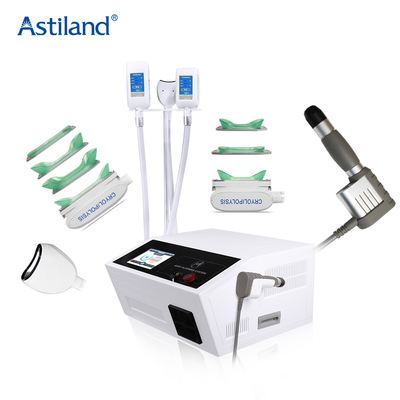 Grosse machine de régime multifonctionnelle de machine de congélation de Cryolipolysis et de poignée d'onde de choc