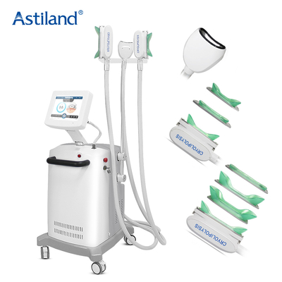 Double indolore Chin Removal de corps de machine de congélation de Cryolipolysis de 3 poignées gros